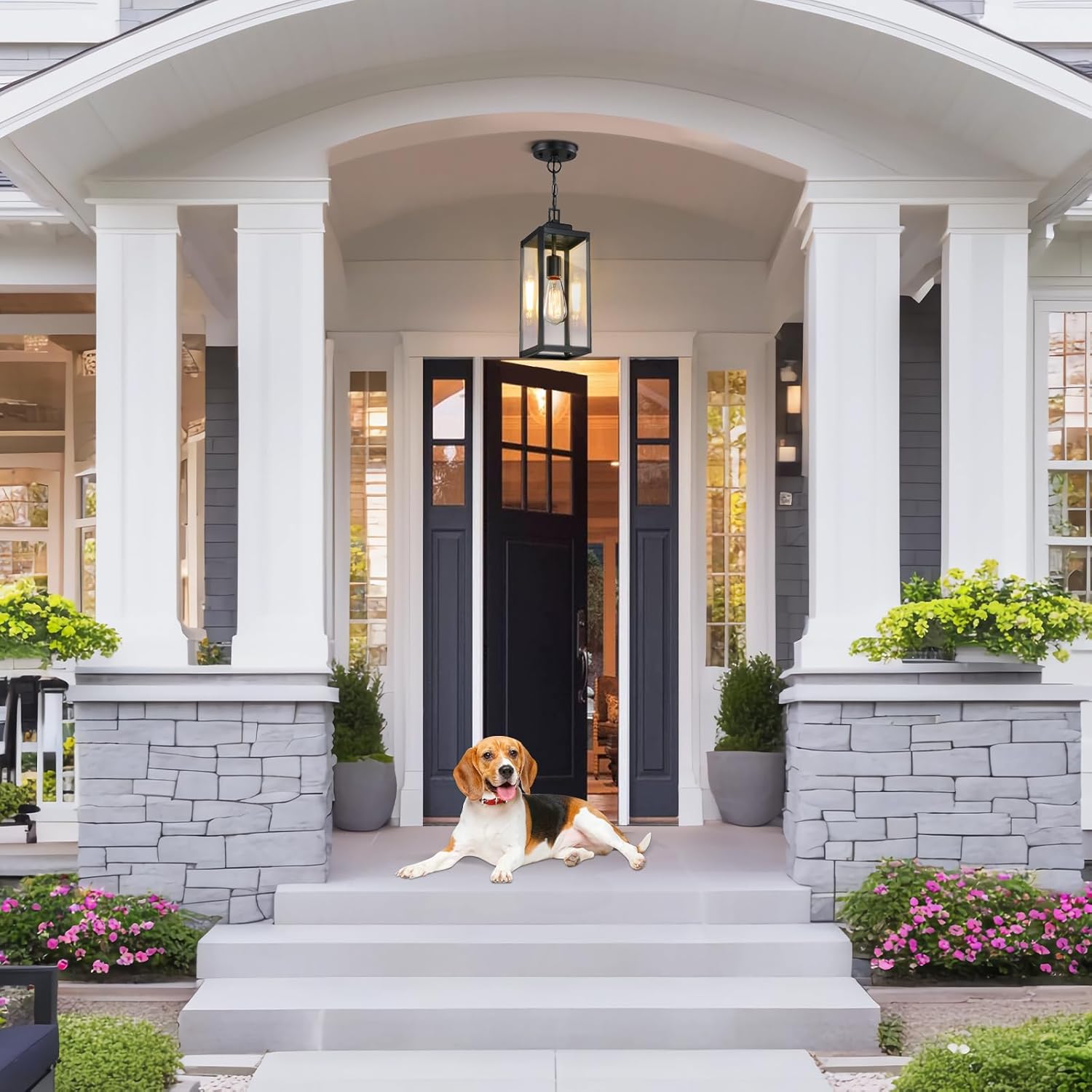 Modern Black Outdoor Pendant Light - Image 3