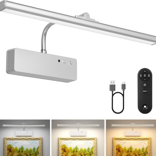 Wireless Dimmable Picture Light